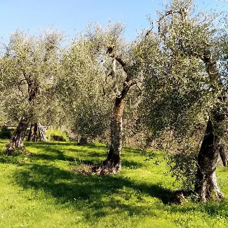 Holiday home Dolce Luna