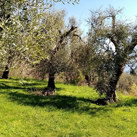 Dolce Luna Gargnano
